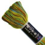 #171 Brown-Yellow-Green-Blue