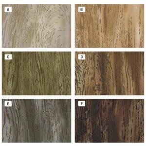 Yoko Saito fabric 10681